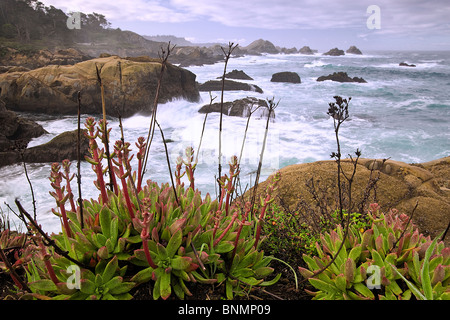 Big Sur Coast, Kalifornien, USA. Stockfoto