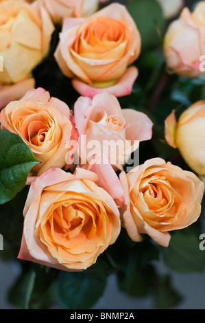 Nahaufnahme von oben ein elegantes Bouquet von Rosen. Stockfoto