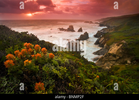 Big Sur Coast, Kalifornien, USA. Stockfoto