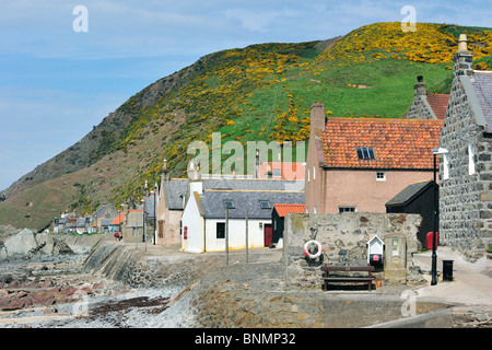 Crovie, einem kleinen Dorf auf einem schmalen Sims entlang des Meeres, bestehend aus einer einzigen Häuserzeile in Aberdeenshire, Schottland, Vereinigtes Königreich Stockfoto