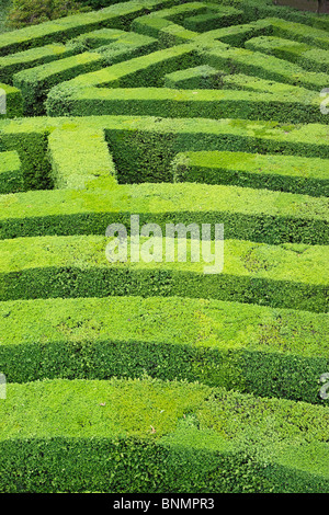 Italien Europa Europäische Westeuropa Architektur Gebäude italienischen Barock Villa Pisani Stra Veneto Labyrinth Labyrinth Garten grün Stockfoto