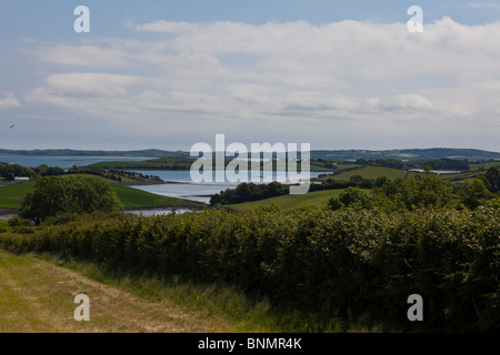 Feldern neben Strangford Lough in der Nähe der Stadt Killinchy zwischen Comber und Killyleagh, County Down, Nordirland, Vereinigtes Königreich Stockfoto