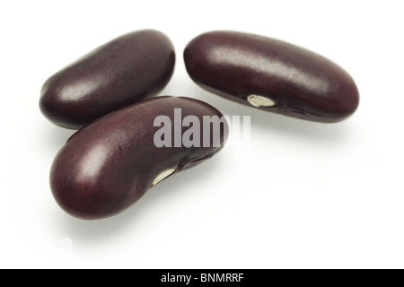 Drei dunkle rote Kidney-Bohnen auf weißem Hintergrund Stockfoto