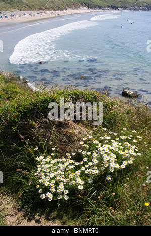 Whitesands Beach, St Davids, Pembrokeshire Coast, Dyfed Wales uk Stockfoto