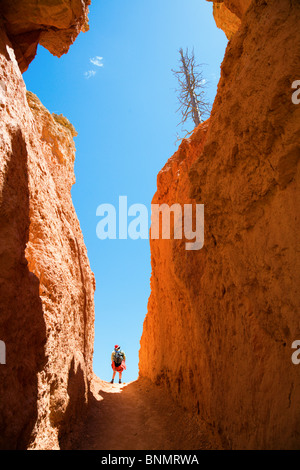 Eine Frau ist das Wandern durch Bruce Canyon in Utah Stockfoto