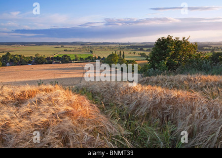 Ein Blick auf den Fluss Ancholme Tal aus einem Gerstenfeld auf der Lincolnshire Wolds an einem Sommerabend Stockfoto