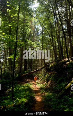 Frau läuft auf den bewaldeten Nordhang Trail - Pisgah National Forest, in der Nähe von Brevard, North Carolina, USA Stockfoto