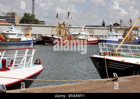 Fischereifahrzeuge vertäut im Hafen von Ijmuiden in den Niederlanden, Europa Stockfoto