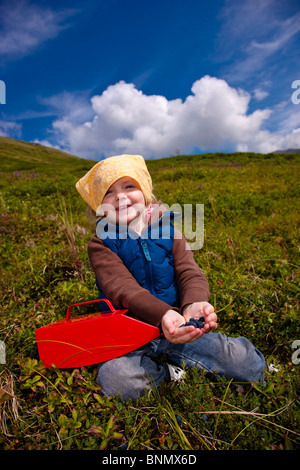 Ein drei Jahre altes Mädchen am Hatcher Pass, Alaska Blaubeeren pflücken Stockfoto