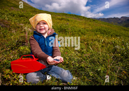 Ein drei Jahre altes Mädchen am Hatcher Pass, Alaska Blaubeeren pflücken Stockfoto