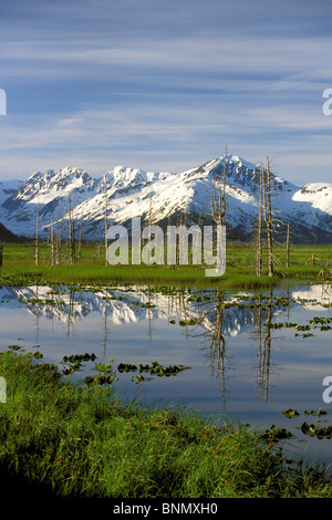 Snow Capped Kenai Mtns im Teich SC AK Frühjahr reflektieren Stockfoto