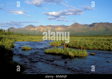 Northside Talkeetna Mtns entlang Denali Highway im AK-Sommer Stockfoto