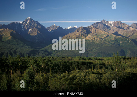 Chugach Mtns entlang Glenn Highway SC Alaska Sommer Stockfoto