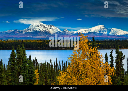 Malerische Aussicht auf Mt. Sanford und Mt. Drum mit Willow Lake im Vordergrund, Wrangell St. Elias Nationalpark & zu bewahren, Alaska Stockfoto