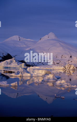 Eisberge in Portage Lake Bard Peak Chugach Mtns. SC Winter Stockfoto