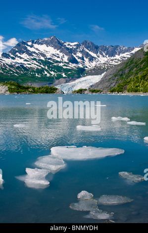 Malerische Aussicht Shoup Bucht mit Shoup Gletscher im Hintergrund, Shoup Bay State Marine Park, Prince William Sound, Alaska Stockfoto