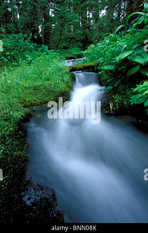 Kleiner Bach in Turnagain Pass KP Alaska Sommer Stockfoto