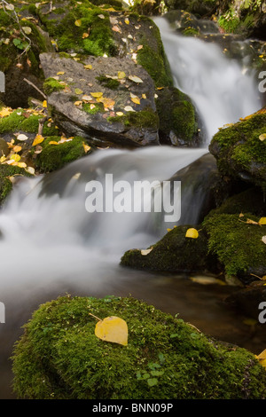 Herbst Scenic Falls Creek in Alaska Stockfoto