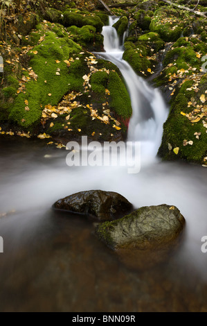 Herbst Scenic Falls Creek in Alaska Stockfoto