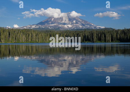 Takhlakh Lake Mount Adams Gifford Pinchot National Forest Washington USA Waldbäume Stockfoto