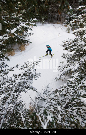 Frau Nordic Ski auf den Baycrest-Loipen im Winter in der Nähe von Homer, Halbinsel Kenai, Alaska Stockfoto