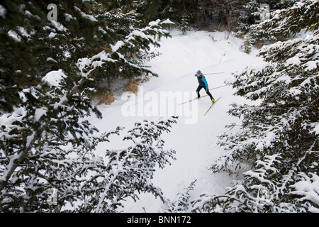 Frau Nordic Ski auf den Baycrest-Loipen im Winter in der Nähe von Homer, Halbinsel Kenai, Alaska Stockfoto