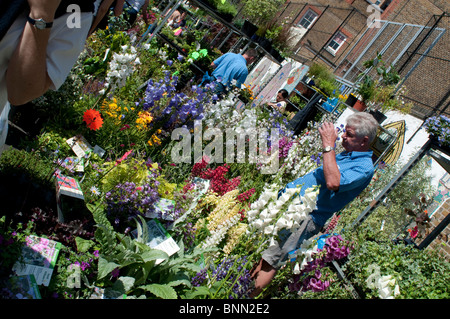 Columbia Road Flower Market, London, E2, England, UK Stockfoto