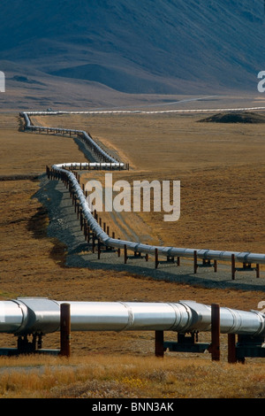 Trans-AK-Pipeline im Brooks Range North Slope AR AK Herbst Stockfoto