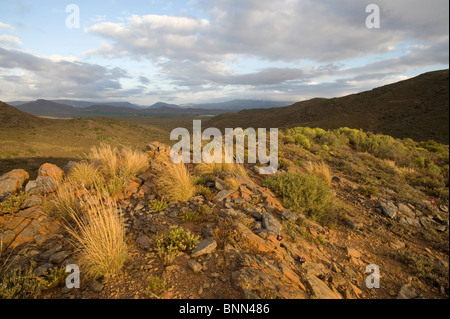 Eine Ansicht der Klein Karoo in Südafrika Stockfoto