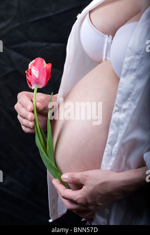 Nahaufnahme der Schwangeren mit Tulpe in ihren Händen. Stockfoto