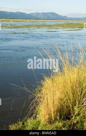 Atemberaubende Landschaft Simbabwes Mana Pools National Park Stockfoto