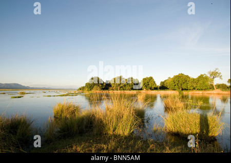 Atemberaubende Landschaft Simbabwes Mana Pools National Park Stockfoto