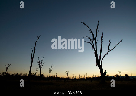 Atemberaubende Landschaft Simbabwes Mana Pools National Park Stockfoto