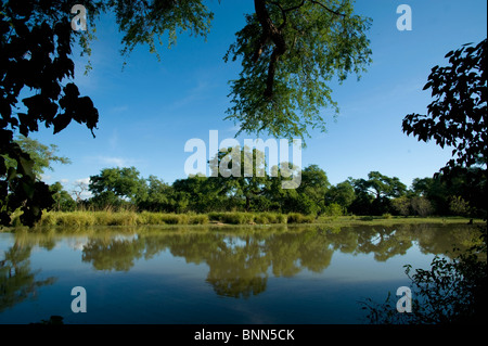 Atemberaubende Landschaft Simbabwes Mana Pools National Park Stockfoto