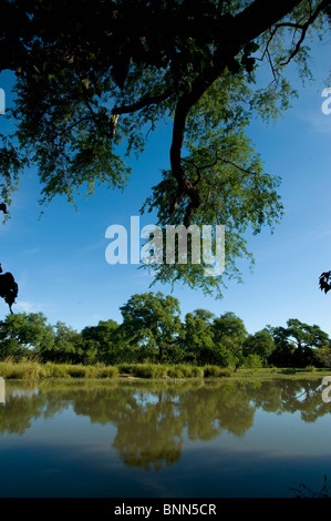 Atemberaubende Landschaft Simbabwes Mana Pools National Park Stockfoto