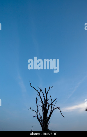 Atemberaubende Landschaft Simbabwes Mana Pools National Park Stockfoto