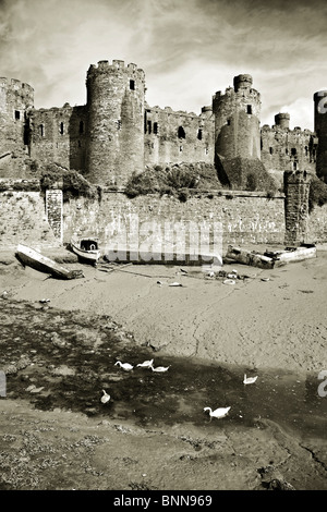 Conwy Castle Nord wales uk Stockfoto
