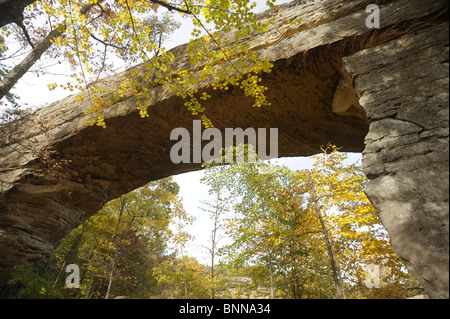 Natürliche Brücke Natural Bridge State Resort Park Kentucky USA Vereinigte Staaten von Amerika Felsen Bäume Herbst Bogen fallen Stockfoto