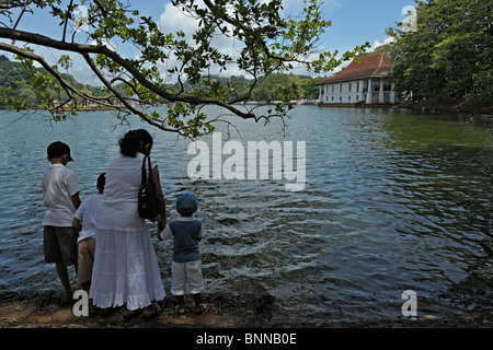 Pligrims Fütterung der Fische in den Kandy See in der Nähe von Sri Dalada Maligawa oder Tempel der Zahntempel in Kandy, Sri Lanka Stockfoto