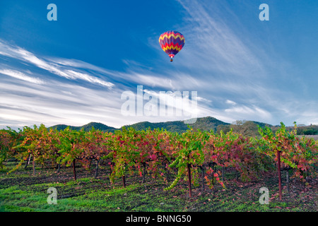 Heißluftballons über fallen farbige Weinberge. Napa Valley, Kalifornien Stockfoto