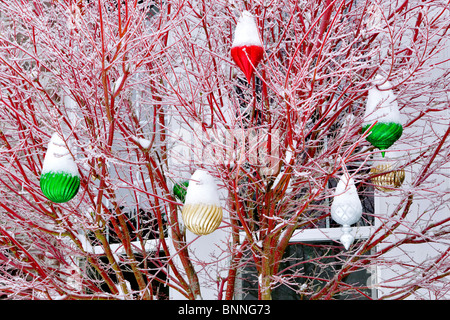 Große Weihnachtskugeln mit Schnee. Stockfoto