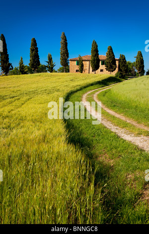 Fahrt zum Landhaus-Villa in der Nähe von Pienza, Toskana Italien Stockfoto