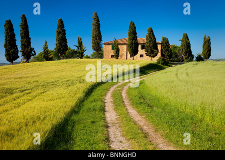 Fahrt zum Landhaus-Villa in der Nähe von Pienza, Toskana Italien Stockfoto