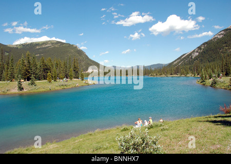 Vergißmeinnnicht Teich Alberta Kanada Stockfoto