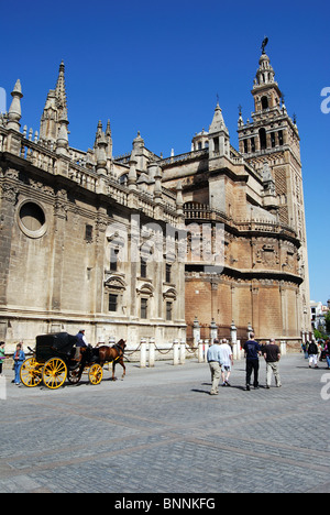 Kathedrale der Heiligen Maria und siehe und Giralda Turm, Sevilla, Provinz Sevilla, Andalusien, Spanien, Westeuropa. Stockfoto