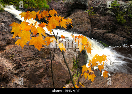 Upper Falls Wasserfall Amnicon Falls State Park Wisconsin USA Vereinigte Staaten von Amerika Blätter Stockfoto