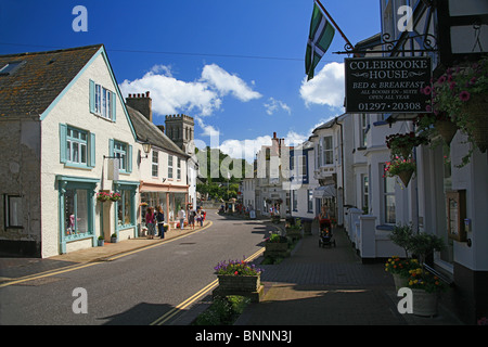 Läden und Häuser auf Vorderstraße in Bier, Devon, England, UK Stockfoto