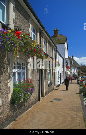 Läden und Häuser auf Vorderstraße in Bier, Devon, England, UK Stockfoto