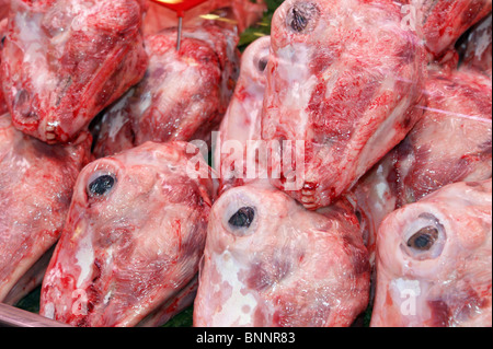 TOTE SCHAFE LEITET AUF DEM DISPLAY IN DER LA BOQUARIA-MARKT-BARCELONA Stockfoto