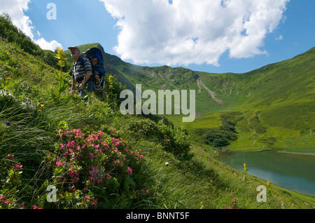 Allgäu Allgäu Bayern Deutschland Tora Schlappoltsee Fellhorn Oberstdorf See Meer Alpenrosen Stockfoto